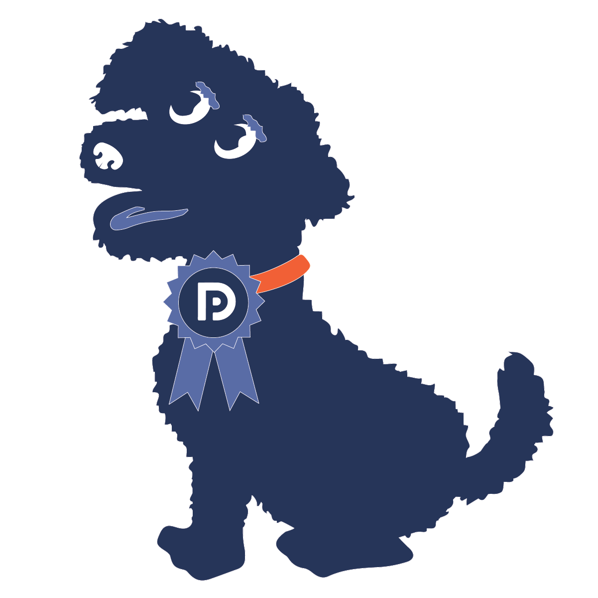 DP_Award_1