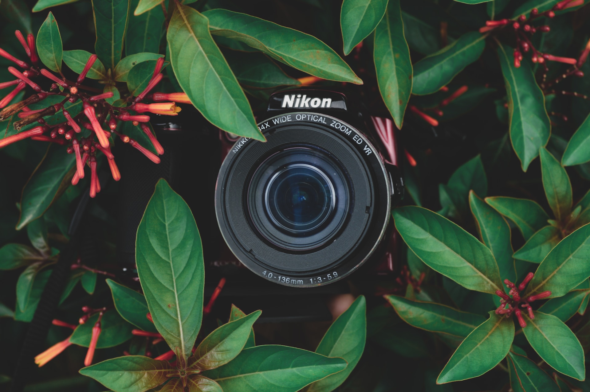 How to Create Superior Amazon Product Photography